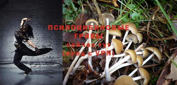 спиды Армянск