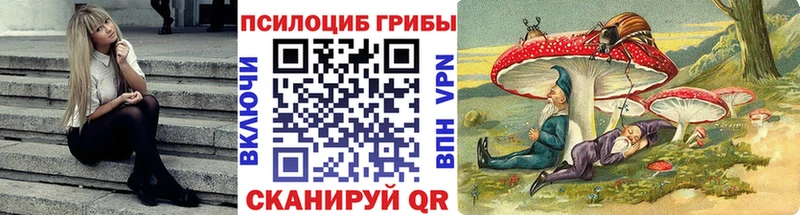 Псилоцибиновые грибы мицелий мега как зайти Мураши